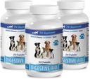 pessimo respiro cane tutto naturale - DOG DIGESTIVE AID PROBIOTICS - NATURAL APPROACH - SOLUZIONE A BACCA E GAS - COUNTER DIARRHEA - lactobacillus acidophilus per cani - 3 Bottiglie (180 Trattati)