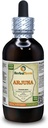 Arjuna (Terminalia Arjuna) Tintura, Estratto di liquido di corteccia secca organica (Nome di prestito: HerbalTerra, Realizzato in USA) 4 fl.oz (120 ml)