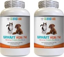 cat Urinary Chews - Animali domestici Urinary Health Complex - per cani e gatti - Advanced Bladder Support - gatto Cranberry Urinary - 2 Bottiglie (180 Trattati)