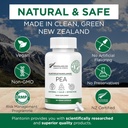 Palmitoylethanolamide Pea Supplemento 600mg - Integratori Micronized Pea 99% - 2 mesi di alimentazione - Supporto naturale avanzato per il comfort congiunto