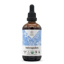 Astragalus USDA Organic Alcohol-Free Extract | Supplemento alimentare, High-Potency Tincture | Natural Certified Organic Astragalus (Astragalus membranaceus)