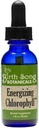 Botanica della canzone di nascita che energizza la tintura di clorofilla, gocce di clorofilla liquida super concentrate, supplemento di sostegno dell'energia estraibile e deodorizzatore interno, bottiglia di sapore di menta 1oz