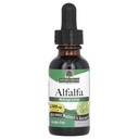 Risponde alla natura Estratto di erbe senza alcool, 1-Fluid Ounce Supporta sistema immunitario, sangue, digestione, livelli di energia - Aiuta con la disintossicazione