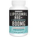 Liposomal NAD+ 800 mg con Trans-Resveratrolo 300 mg, Assorbimento Max, Effettivo NAD+ Aumentare il supplemento per l'invecchiamento sano, l'energia cellulare, la riparazione del DNA, la longevità - 60 Softgels