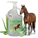 Aloe Vera+Agave Premium Horse Supplement – Made in USA – Original Udder Balm – Natural Gastric Support for Horses & Large Animals – Stress Relief & Ulcer Care, 128 Fl Oz.