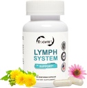Integratore di supporto del sistema Lymph - Supplemento di drenaggio linfatico con estratto di Echinacea purourea, Estratto di dente di leone 60 conte