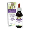 Naturalma Wild Teasel o Fuller's Teasel (Dipsacus fullonum o D. sylvestris) Root Alcohol-Free Tincture - 4 fl oz Liquid Extract in Drops - Herbal Supplement - Vegan
