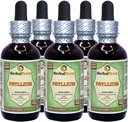 Psyllium (Plantago Ovata) Glycerite, Estratto liquido senza alcool di Husk Organico (Nome: HerbalTerra, Proudly Made in USA) 5x2 fl.oz (5x60 ml)