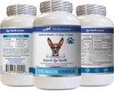Dogs Eye Vitamins - Dogs Eye Health Formula - Advanced Eye Support Complex - VETS Consigliato - Dog Lutein - 1 Bottiglia (60 compresse)