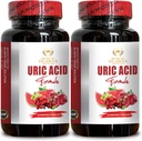 Come Tart Cherry e Green Coffee Beans in URIC Acid Formula Support Uric Acid Balance, Uric Acid Vitamin, Basso Supplemento acido urico - 2 bottiglie