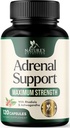 Supporto surrenale Supplementi Cortex Complex, Miglior integratore energetico, Supporta livelli di salute e di energia di Cortisol, Ashwagandha giornaliero per le donne e gli uomini, Supporta la Fatica surrenale & Sistema immunitario, 120 capsule