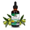 Estratto di foglie di oliva, Alcol-Free, Non OGM, Vegan, Senza glutine, Made in USA, 2 Ounce | Estratto di foglie di oliva per il benessere