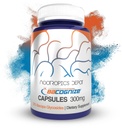 Nootropics Depot BaCognize Bacopa Monnieri 300mg Capsules (120 Count) Ayurvedic Herb Non OGM, Gluten Free, and Vegetarian Friendly