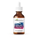 Erbe Bontà Bitter Ma Nessun Crap Liquid Supplemento per Body Cleanse, Energy Support and Health Boost | Non-GMO Burdock Root Organic, Bitter Melon, Maca Root, Dandelion Root - 2 fl. oz per Bottiglia