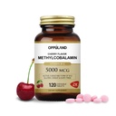 Methyl B-12 5000mcg Chewable with Folate - Vitamina B12 Methylcobalamin Sublingual Tablets - Supporta l'energia e il cervello Funzione - Vegan Supplement - Cherry Flavor - 120 Count