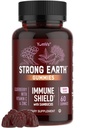 Gummie di sambuco – Sambucus Elderberry Supporto immunitario con vitamina C & Zinc – Gummie di sambuco, Gummie di sambuco, Non OGM, Gluten Free, Kosher – 60 Conte