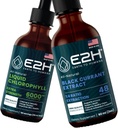 E2H: Clorofilla liquida e Estratto di ribes nero naturale | Vegan, Non OGM - 2 Fl Oz Ogni (4 Fl Oz Totale) - Bundle