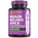 Integratore del cervello nootropico per il fuoco, l'energia, la memoria e il Booster di Clarity | Vitamine del cervello di assorbimento rapido per gli adulti – Pillole nootropici con Ginkgo Biloba, St Johns Wort, Bacopa Monnieri
