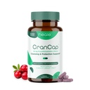 Pillole di mirtillo - Urinary Tract Health Cranberry Supplement - 36mg di Potent PACs - Non OGM, Vegan, Gluten Free - by Heale - 30 capsule