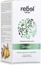 Rebel Herbs Ginger Capsules Potente Doppio Estratto, Non OGM, Gluten Free, Ginger Root (Rhizome) Estratto