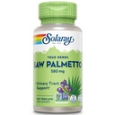 SOLARAY Saw Palmetto Berry 580 mg, Salute Prostatica e Urinary Tract Support da acidi grassi & Sterols vegetali per uomini e donne, Non OGM, Vegan & Lab verificato, 100 VegCaps, 100 Servings