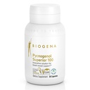 Biogena Pycnogenol 100 mg Oro con l'estratto di corteccia marina francese premium brevettato (Pinus Pinaster) per sostenere la circolazione sanguigna
