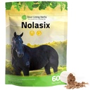 Silver Lining Herbs Nolasix Lung & Circulation Supplements for Horses – Natural Herbal Horse Supplement for Circulation, Heart Health & Lung Support – Respirazione normale e supporto vascolare – 1 lb