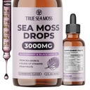 TrueSeaMoss Irish Sea Moss Drops - 5X più forte di Sea Moss Gel - 92+ Minerali Essenziali - con Black Elderberry, Burdock Root & Black Cumin - 2 Fl Oz (60ml) - Sapore di sambuco