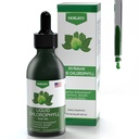 Gocce liquide di clorofilla - 100% energia naturale Booster e supporto immunitario - Deodorante interno e disintossicazione - Altitudine Malattia Rilievo - Assorbimento veloce, Vegan & Non-GMO - 120 Serve (Pacchetto di 1)