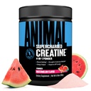Polvere di creatina supercaricata animale - Monoidrato di creatina aromatizzato potenziato con Betaine anidra, violaForce & Senactiv, resistenza, resistenza, recupero del muscolo per gli uomini e le donne - Watermelon, 300g