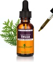 Estratto di liquido di Branchlet di Pharm Thuja - 1 oncia (DTHUJA01)