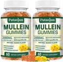 Mullein Gummies per polmoni | 2000mg Estratto di foglie di Mullein per il supporto respiratorio e immunitario | Pure Vegetarian Mullein Gummies Herbal | Soft and Non Sticky | Mango Flavor | 2 Pack