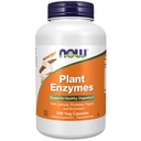 NOW Integratori alimentari, Enzimi vegetali con lattasi, Protease, Papain e Bromelain, 240 capsule di Veg