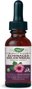 Nature's Way Premium Formula Echinacea-Goldenseal, 250 mg per porzione, 99,9% Alcohol-Free, 1.01 Oz.