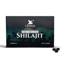 Chuga Pure Himalajit compresse per uomini e donne | Organic Shilajit Harvested 16.000 piedi | Lab testato in USA, 75+ Acido Fulvico, Grade A, Booster immunitario, Shilajit Tablets, 60 Servings (1)