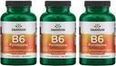 Swanson B6 Pyridoxine - Integratore di vitamina Promuovere il metabolismo della salute e dell'energia cardiovascolare - Formula naturale Promuovere il benessere generale - (250 capsule, 100mg ogni) 3 Pack