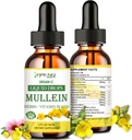 Gocce di Mullein per polmoni, Detox polmonare & Cleanse per fumatori, Estratto di foglie di Mullein organico per polmoni w. Elderberry, Ginger, Alcohol di tintura di Mullein Free per la salute polmonare respiratoria 2 FL/OZ