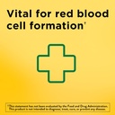 Nature Made Iron 65 mg (325 mg Ferrous Sulfate) Compresse, Integratore alimentare per il supporto delle cellule del sangue rosso, 180 compresse, 180 giorni di alimentazione (pacchetto di 2)