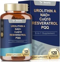 Totaria Urolithin Un supplemento 1000 mg con NAD+, CoQ10, Resveratrolo