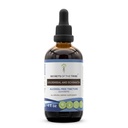 Segreti della Tribe Goldenseal e Echinacea Alcohol-Free Liquid Extract, Herbs (Echinacea Root (Echinacea Purpurea), Goldenseal Root (Hydrastis Canadensis))