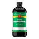 Il 100% Pure Natural Chlorophyll Flavor Liquid Supplement | di Bernard Jensen promuove Alkaline Ph | Aiuta a pulire il sangue | 16 Ounce fluido (474 ml)