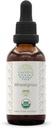 HerbEra Wheatgrass B60 USDA Organic Tincture | Alcohol-Free Extract, High-Potency Herbal Drops, Liquid Supplement | Certificata Organic Wheatgrass (Triticum aestivum) Fascia secca (2 oz)