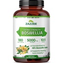Zazzee Extra Strength Boswellia 10:1 Extract, 65% Boswellic Acid, 180 Vegan Capsules, 6 mesi di fornitura, Boswellia Serrata, Joint Comfort, Mobility & Flexibility Support, Non-GMO, Made in USA