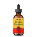 Siberiano Adaptogens Miscela a base di erbe con Maral, Spikenard, Eleuthero, Ginseng rosso, Rhodiola, Schisandra, Liquirizia, Peony, & More - Aumenta l'energia, migliora il fuoco, riduce lo stress, 2 oz fluido (60 ml)
