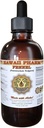 Estratto di liquido del finocchio, finocchio (Foeniculum Vulgare) Seed Powder Tincture Supplemento 4 oz