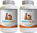 enzimi digestivi probiotici del cane - PET PROBIOTIC - DOGS E CATS - BOOST DIGESTIVE - GET RID OF BAD BREATH E STOP DIARRHEA - lactobacillus salivarius probiotic - 2 bottiglie (120 Treats)