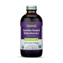 Flora Organic Black Elderberry Syrup + 8.5oz - Booster immunitario con Echinacea, per bambini e adulti, Non Aggiunto Zucchero, Senza glutine, Vegan, SambuGuard
