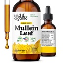 Gocce di Mullein selvatico e organico per polmoni - Detox polmonare e Cleanse - Tintura di foglie di Mulleina liquida con radice di Echinacea & Licorice - Vegan, Supplemento di steroidi senza zucchero e alcol - 2 fl oz