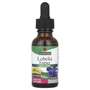 Natura?s Risposta Lobelia Herb Lobelia Inflata - Integratore naturale di erbe - Gluten Alcohol-Free - Ideale per l'immunità Benessere Salute generale ? 690mcg (1 FL Oz)