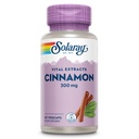 Estratto di cannella di SOLARAY 300mg - Integratori di cannella per l'equilibrio - Supporto di erbe con 24mg Flavonoidi - Lab verificato, senza glutine, garanzia di 60 giorni - 60 Serve, 60 VegCaps